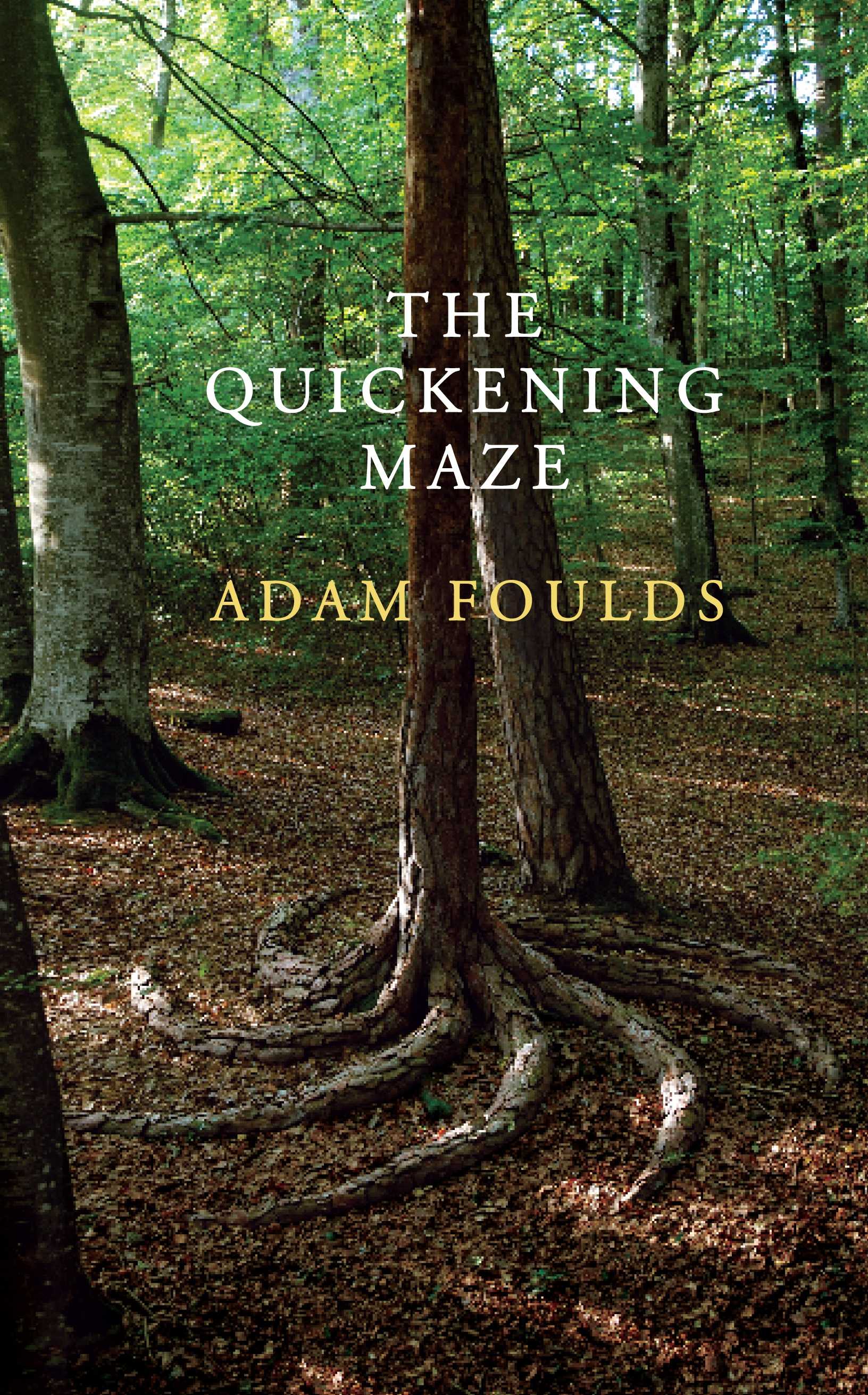 The Quickening Maze